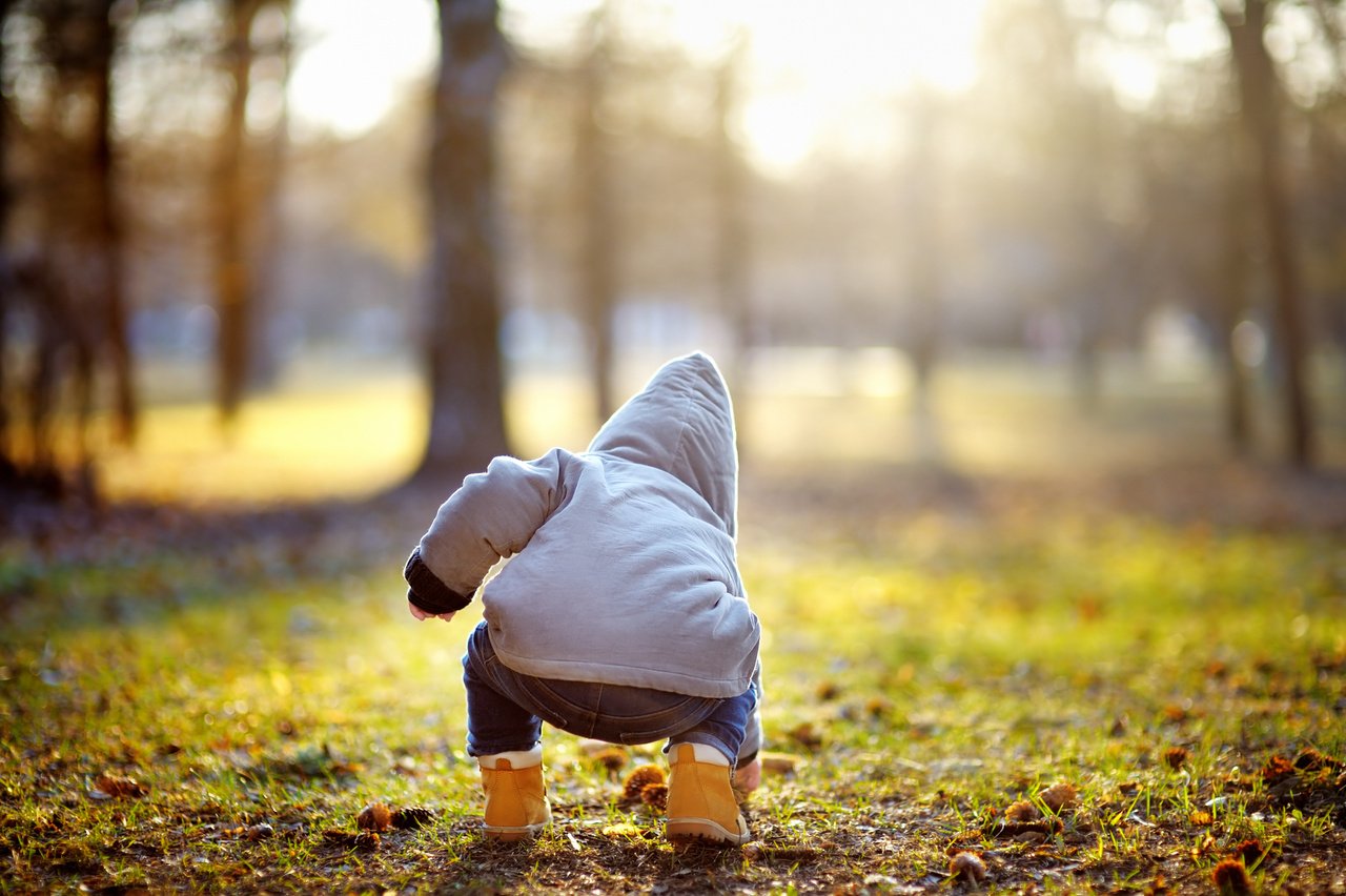 Toddler Boy Playing Outdoors